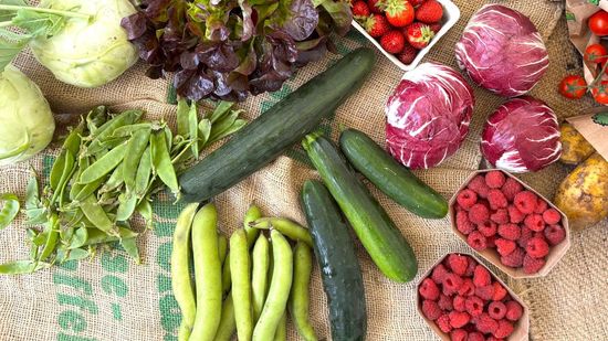 Obst und Gemüse Stilleben